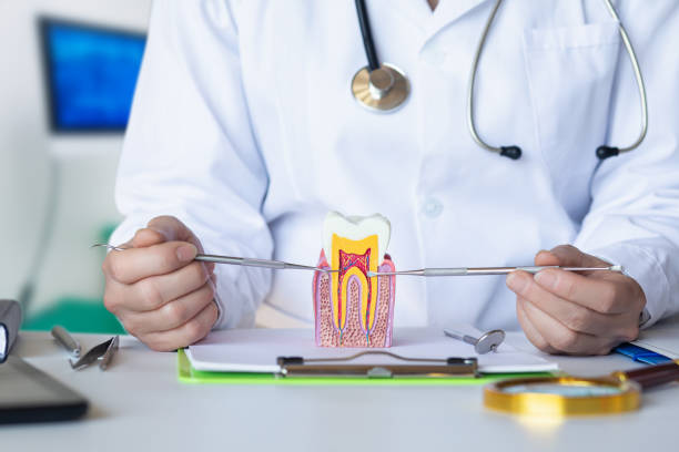 Best Dentist for Tooth Abscess  in Pahokee, FL